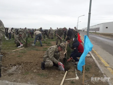 Müdafiə və Təhsil nazirlikləri Aprel zəfərindən ötən hər günə bir ağac əkək” devizi altında tədbir keçirib