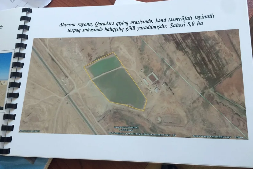 Azərbaycanda 480-dən çox qanunvericiliyin tələblərinin pozulması halı aşkarlanıb