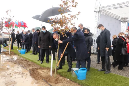 Azərbaycan Türkiyənin genişmiqyaslı ağacəkmə aksiyasına qoşulub