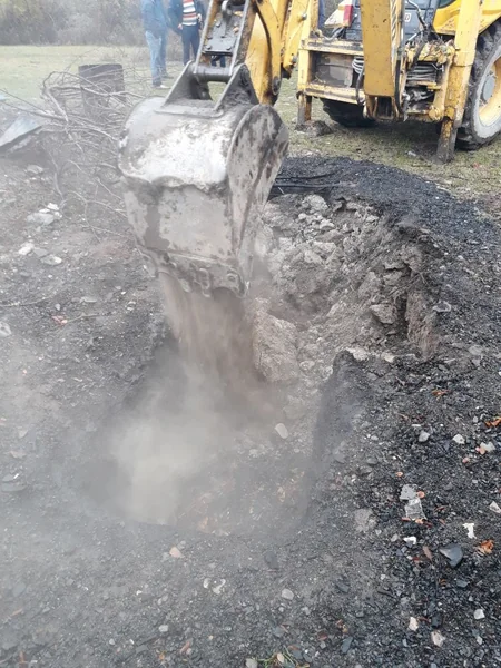 Oğuzda qanunsuz yolla əldə edilən meşə materialları və kömür hazırlanan quyular aşkar edilib