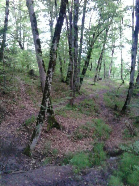 Şabranda gölün ətrafını çirkləndirənlər 700 manatdan 8500 manatadək cərimə ediləcək