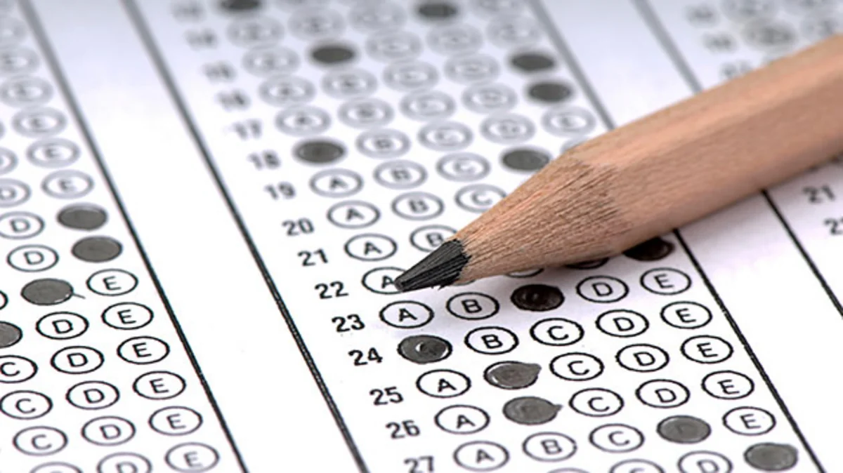 British schoolgirl has higher IQ than Einstein and Hawking