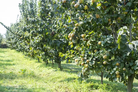 Kənd Təsərrüfatı naziri fermerlərlə görüşüb