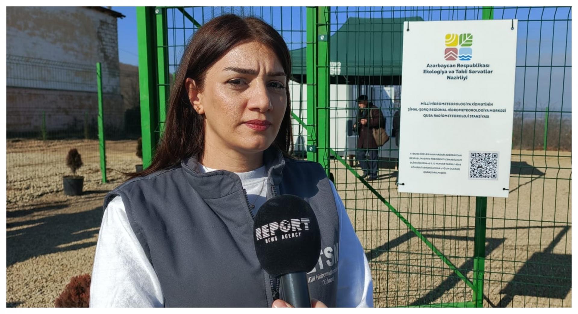 Gülnarə Abbasova