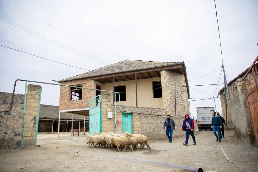 700-dən çox münaqişədən zərər çəkən özünüməşğulluq proqramına cəlb edilib