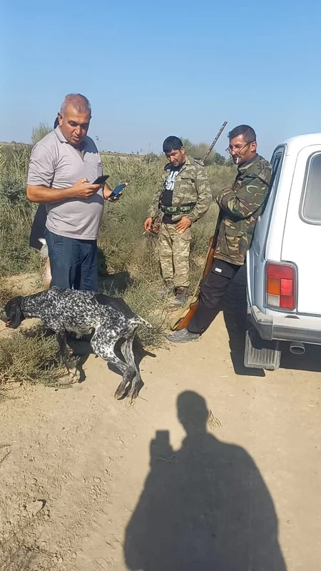 Qanunsuz ov edən şəxslər cəzalandırılıb