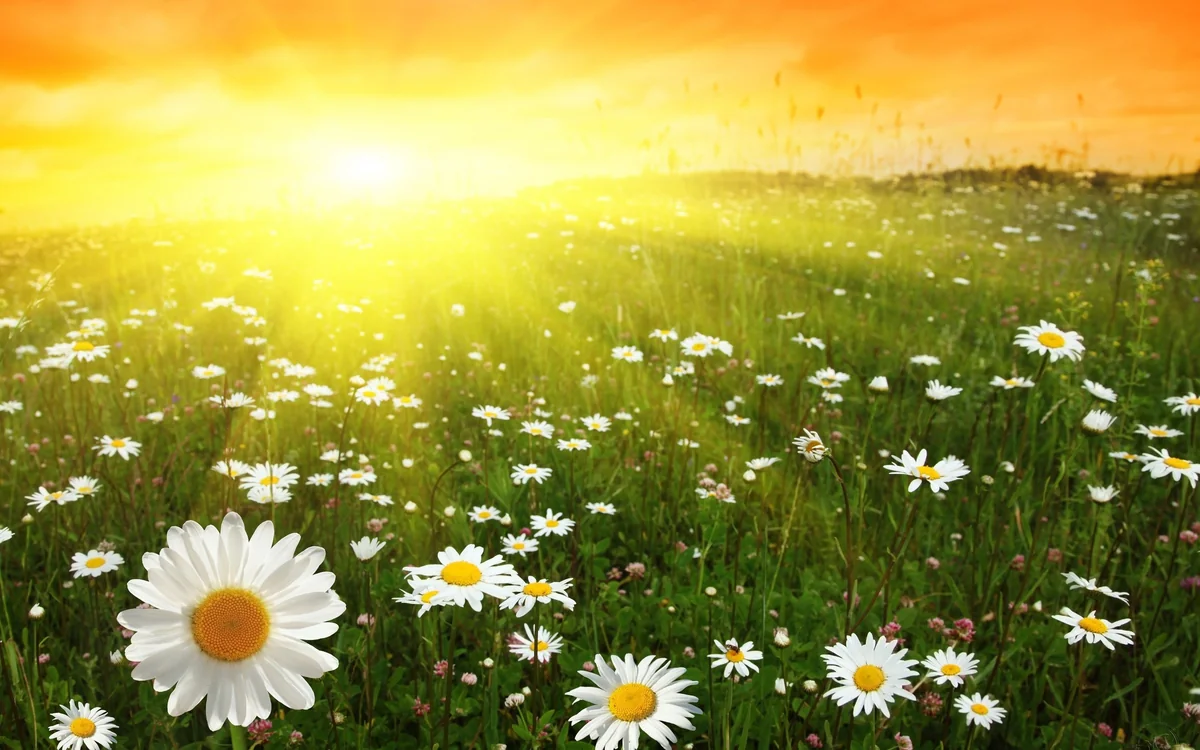 Weather forecast for those traveling on weekend announced