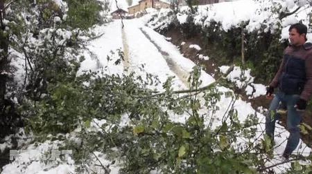 Cəlilabadda güclü qar fərdi təsərrüfatlara, elektrik və rabitə dirəklərinə ziyan vurub - FOTO