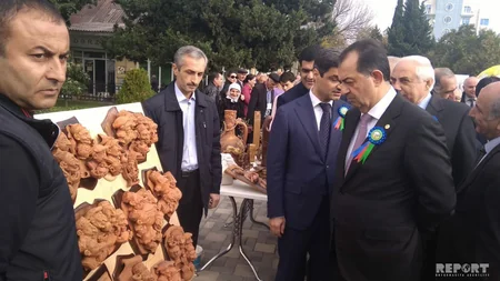 Lənkəranda II Çay, Çəltik və Sitrus Festivalı başlayıb