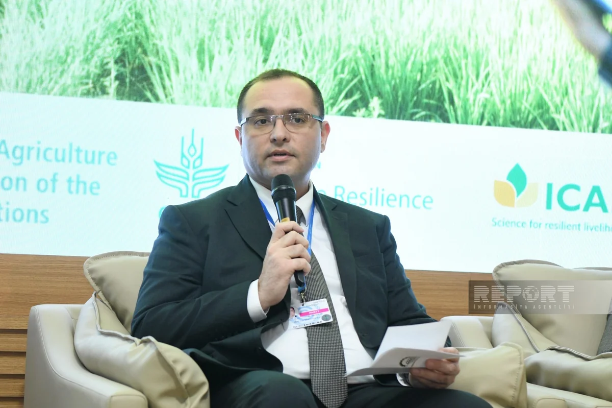 Minister: Since 2015, cotton cultivation areas have increased 6-fold and yield has almost doubled