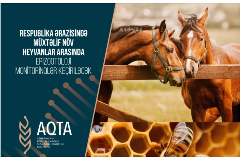 Müxtəlif növ heyvanlar arasında epizootoloji monitorinqlər keçiriləcək
