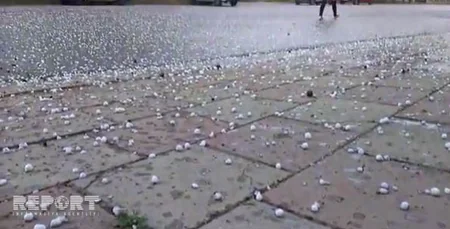 В Лянкяране выпал град, пострадали хозяйства - ФОТО