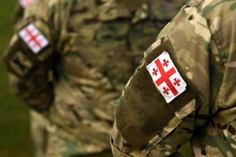 Министр обороны: В Грузии от службы в армии за год уклонились 12 тыс. человек
