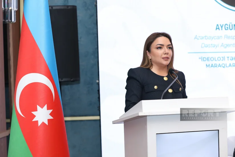 Agentlik rəhbəri: Bəzi beynəlxalq təşkilatlar Azərbaycan cəmiyyətinin dəyərlərinə zidd layihələr təklif edirlər