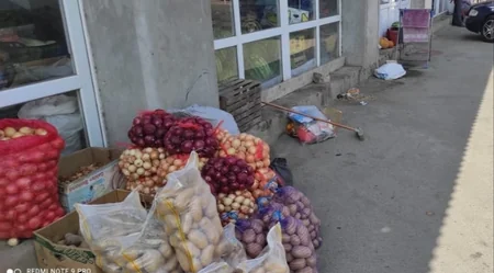 Cəlilabadda ətrafı məişət tullantıları ilə zibilləyən şəxslər müəyyən edilib