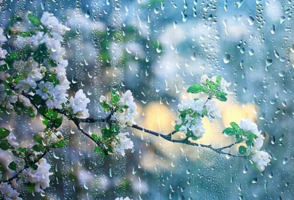 Azerbaijan weather forecast for August 9