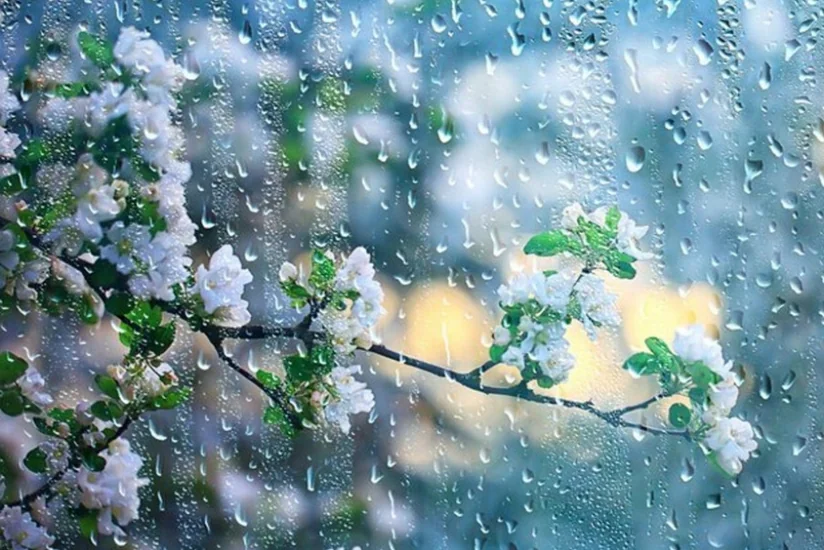 Sabah külək əsəcək, dağlıq ərazilərdə yağış yağacaq - PROQNOZ