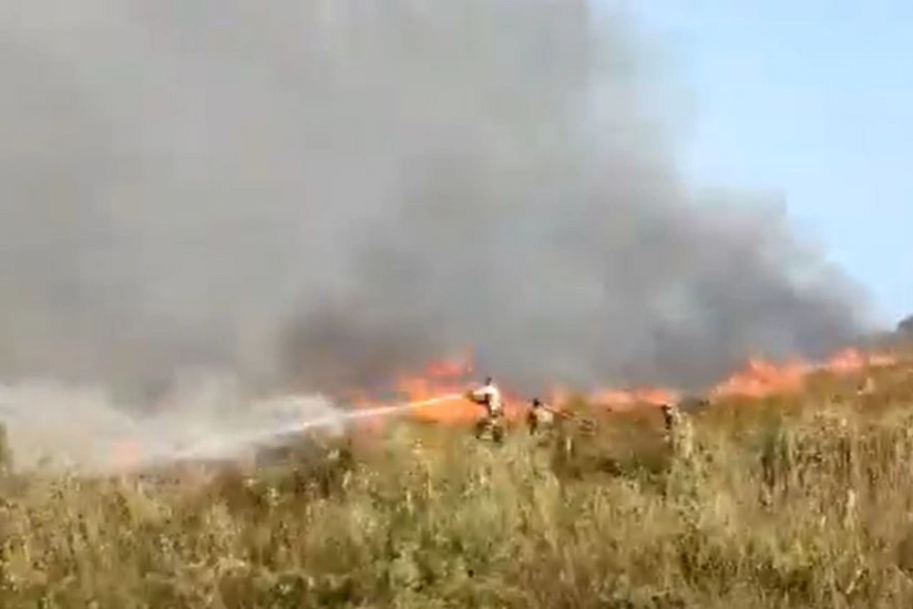 FHN: Qızılağac Milli Parkında yanğının söndürülməsini küləkli hava çətinləşdirir
