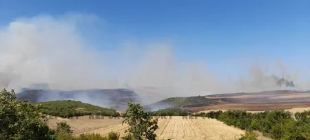 Şabranda meşə yanğını evə keçib, 3 ev yanır