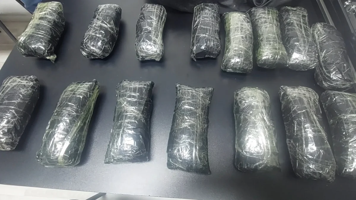 Gəncədə narkokuryer saxlanılıb, 15 kq-dan artıq heroin aşkarlanıb