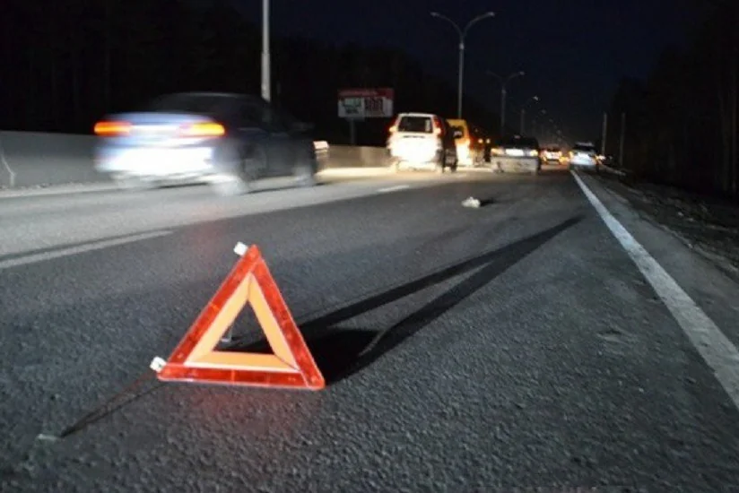 Найденное 5 дней назад тело принадлежит сбитому автомобилем пешеходу