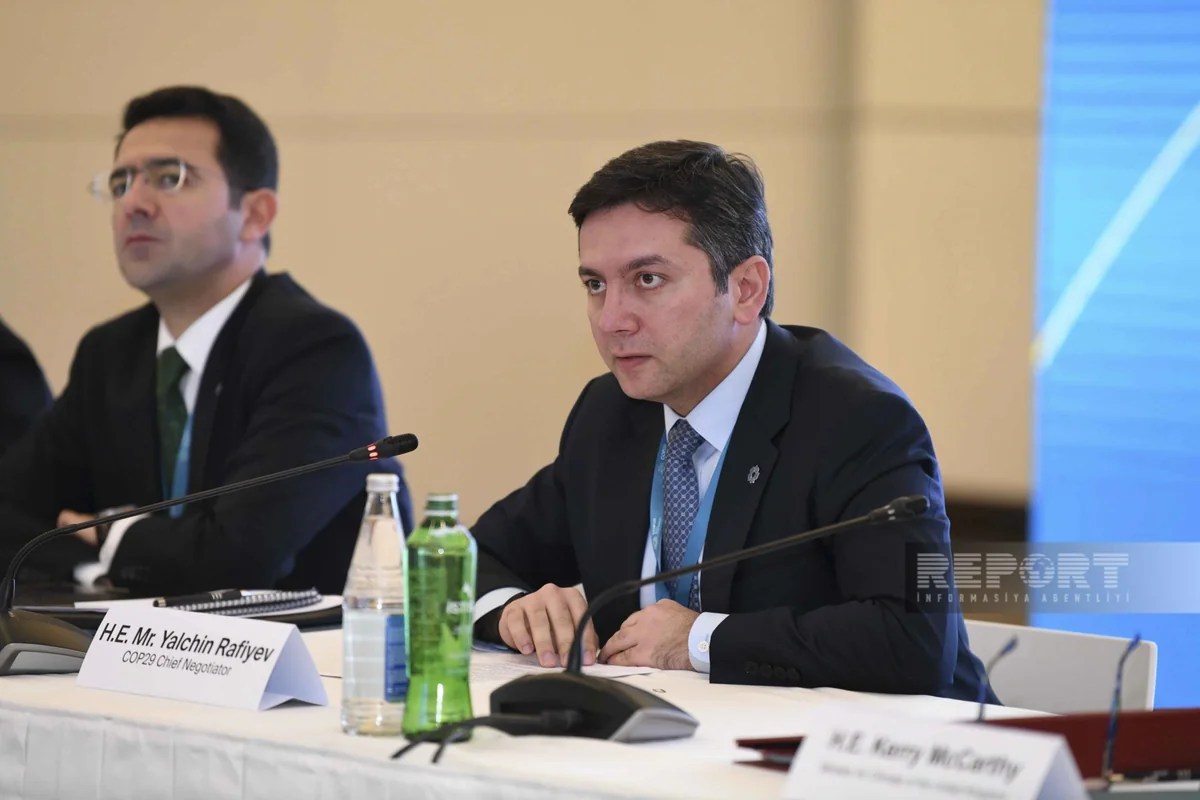Yalçın Rəfiyev: COP29-da 60 qərarın qəbulu gözlənilir, iqlim maliyyəsi əsas qərarlardan biri olacaq