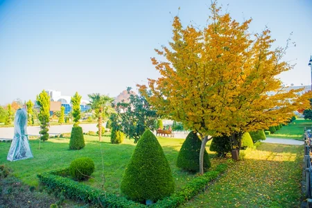 Lənkəranda Qızıl payız - FOTOREPORTAJ