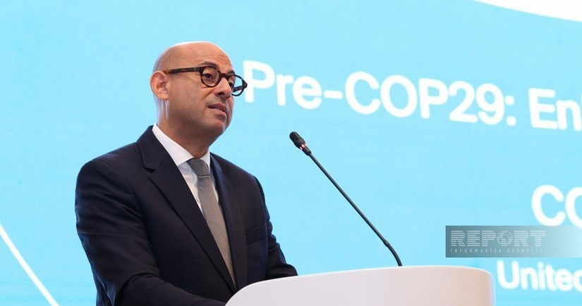 Саймон Стил: Нельзя терять заданный в Баку на COP29 импульс