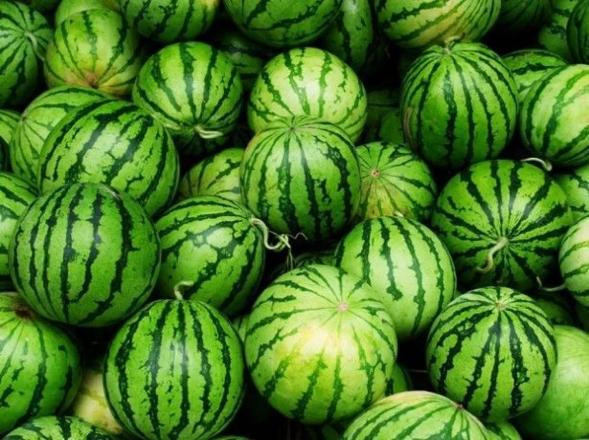 Neftçalada ana və qızı qarpızdan zəhərlənib