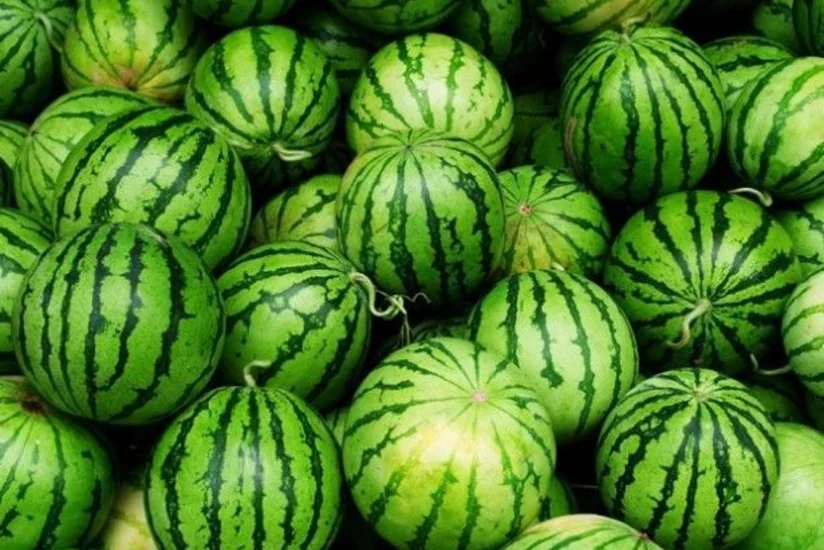 Neftçalada ana və qızı qarpızdan zəhərlənib