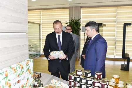 President Ilham Aliyev inaugurates ABAD Center in Balakan