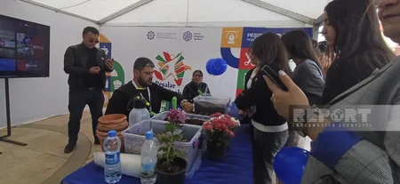 Naxçıvanda Peşələr Festivalı keçirilib - YENİLƏNİB