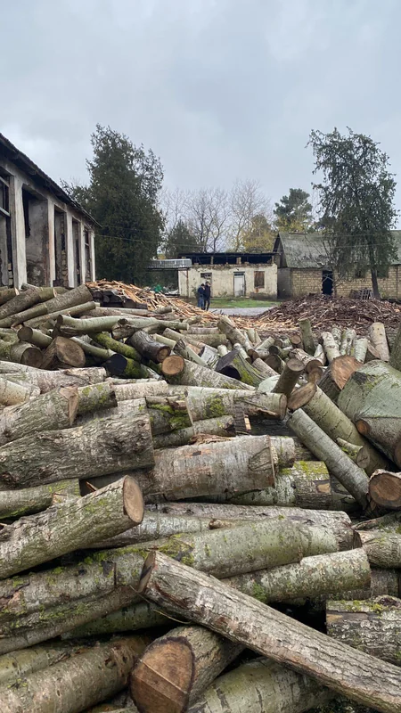 Xaçmazda qanunsuz ağac emal edən sexlər barədə araşdırma aparılır