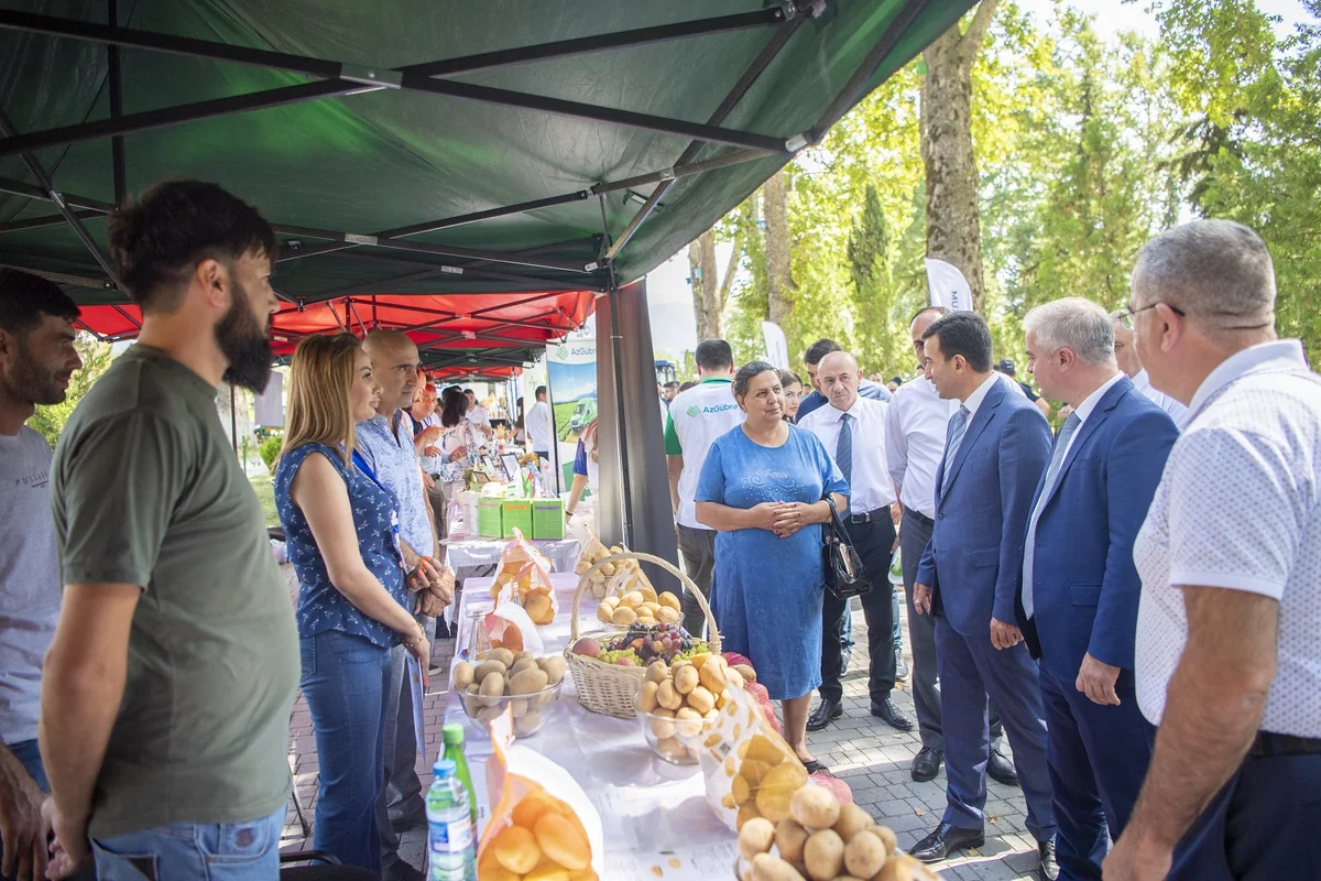 İsmayıllıda toxum sərgi-satış yarmarkası keçirilib