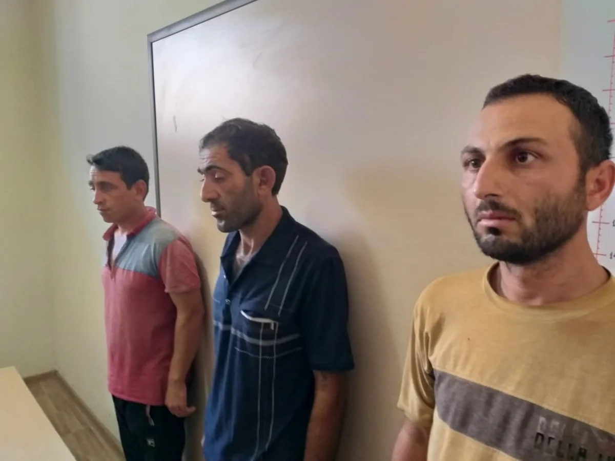 Bərdədə kabel oğurluğu ilə məşğul olan 3 nəfər saxlanılıb