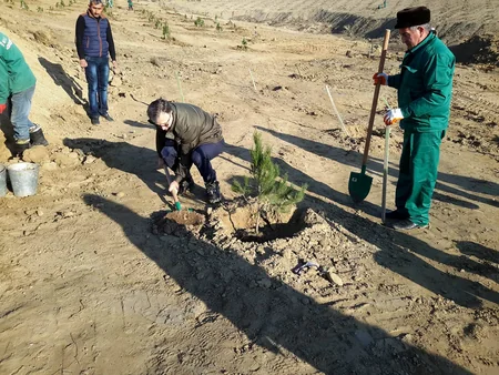 Ekologiya və Təbii Sərvətlər Nazirliyi iməcilik keçirib - FOTO