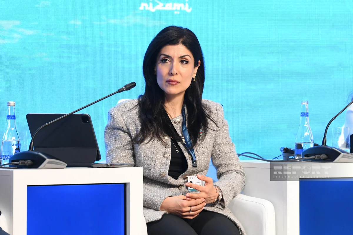 Nigar Arpadarai: Azərbaycan Braziliyada COP30-un uğurla keçirilməsinə dəstək verəcək