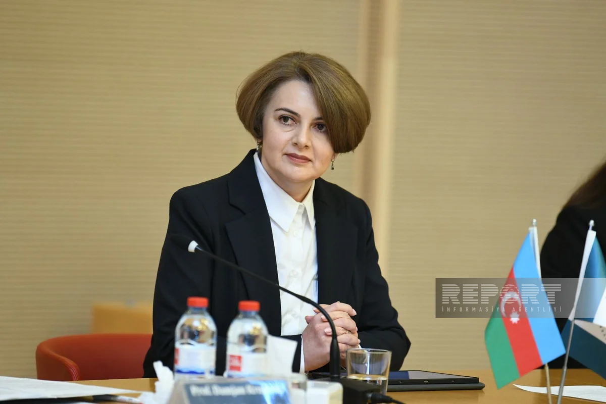 Agentlik rəsmisi: “Azərbaycan 23 min meqavat günəş enerjisi potensialına malikdir”