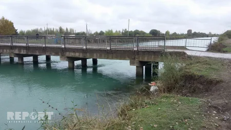 Bərdədə xeyli sayda kəsilmiş atın daxili orqanları və sümükləri aşkar edilib