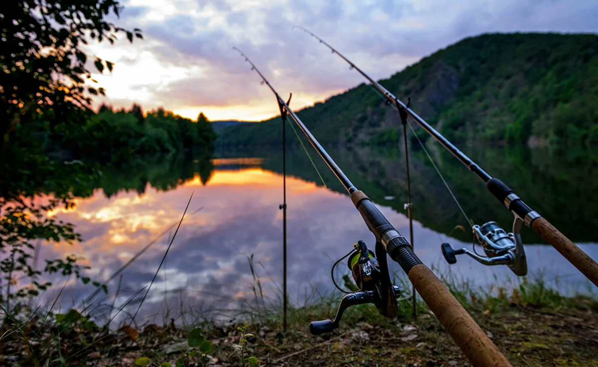 Azərbaycan daha bir ölkədən balıq tilovu tədarük etməyə başlayıb