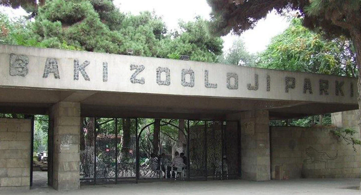 Bakıda ilk zooparkın yaradılmasından 90 il ötür