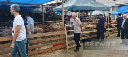 Paytaxt sakinləri qurban kəsir