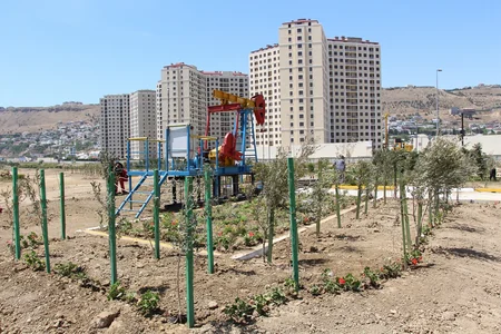 “Bibiheybət” yatağında yeni yaşıllıq zolaqları salınır