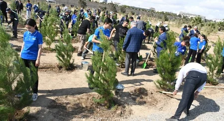 Bakıda Anım Günü ilə əlaqədar ağacəkmə aksiyası keçirilib