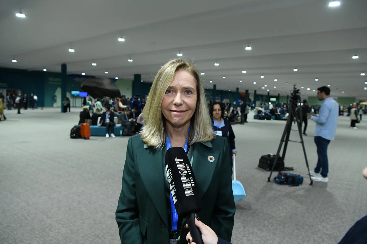 WMO Sec.-Gen.: Countries must show NDC ambition at COP29