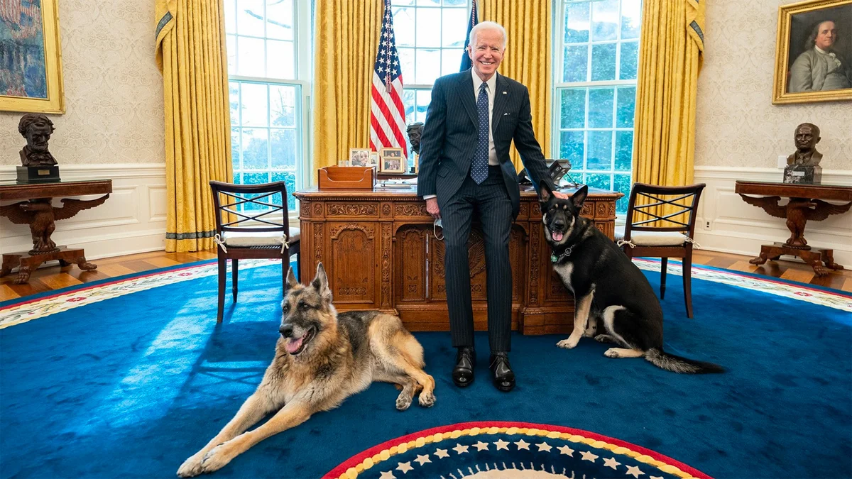 Biden's dog removed from White House after series of biting incidents