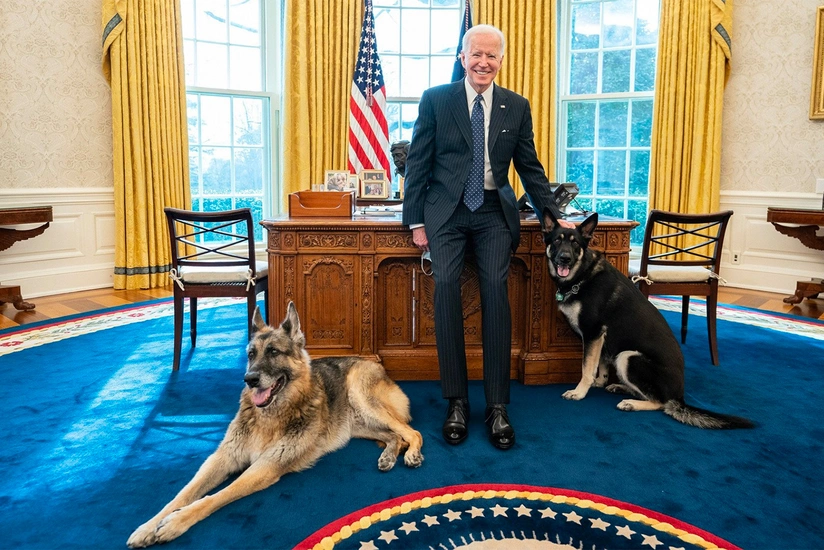 Biden's dog removed from White House after series of biting incidents