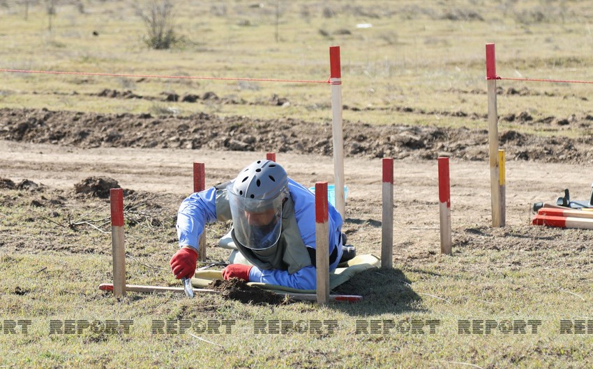 277 mines found in liberated areas