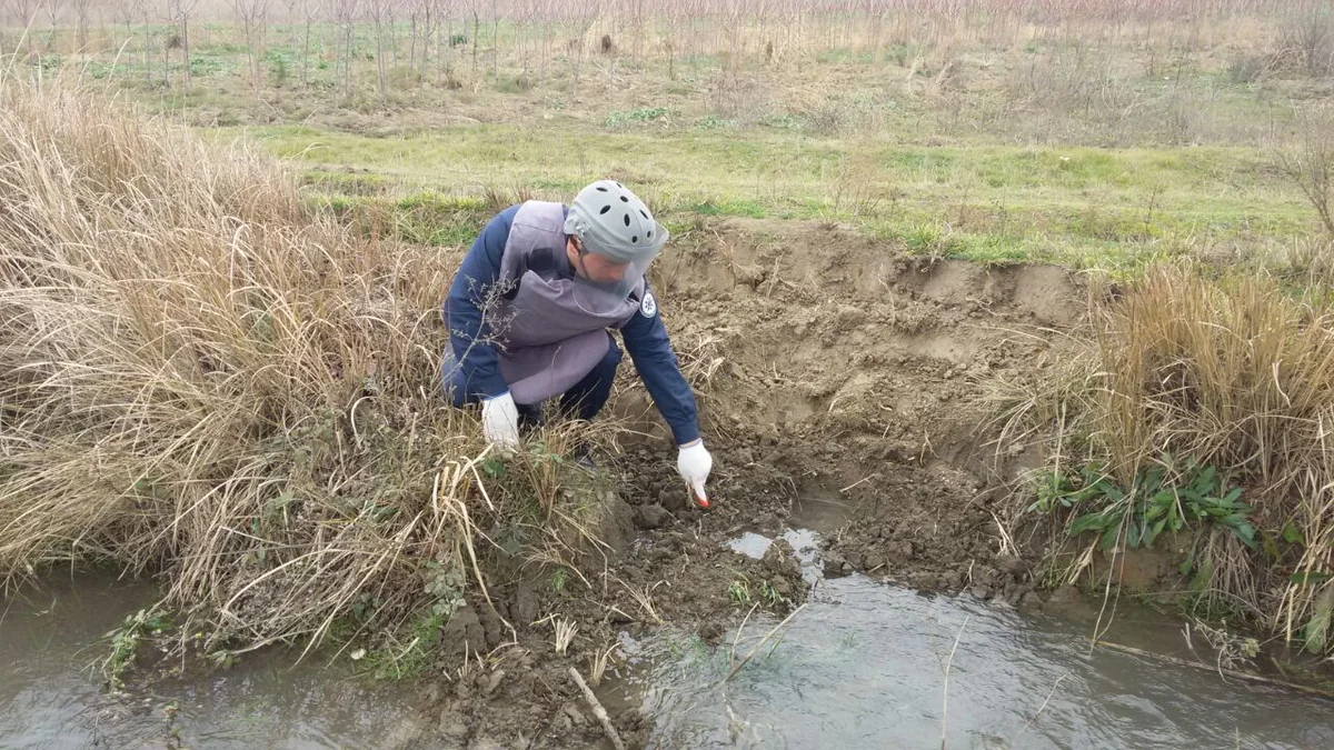 В Тертере обнаружена ручная граната
