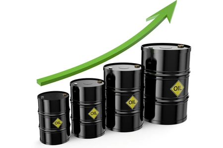 Azeri Light crude rises to $69.61 per barrel on world market